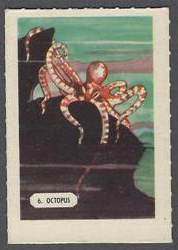 46KAW 6 Octopus.jpg